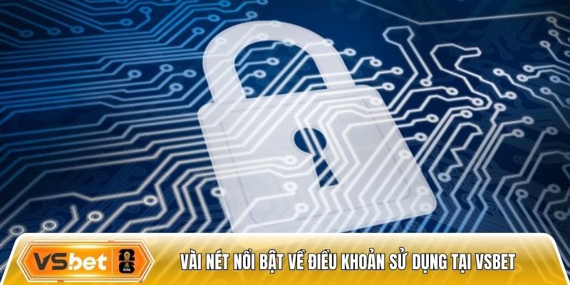 Vài nét nổi bật về điều khoản sử dụng tại Vsbet